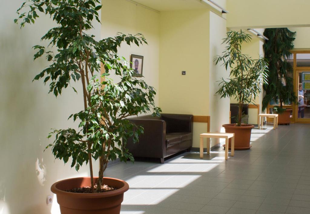 Hotel Ceu Konferencia Koezpont à Budapest Extérieur photo
